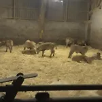 בית נופש Eco A La Ferme