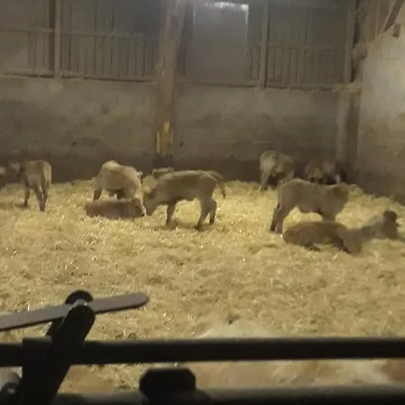 Feriehus Eco A La Ferme