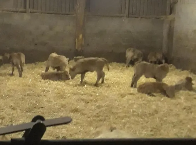 Hébergement de vacances Eco à La Ferme