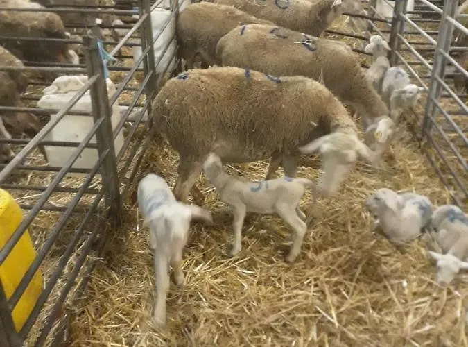 Eco à La Ferme Hébergement de vacances